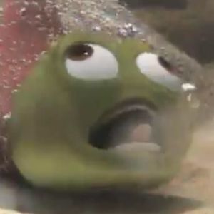 Meet your Posher, Franny